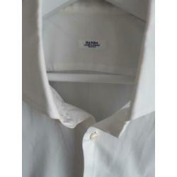 Barba Napoli per Oger overhemd mt 43