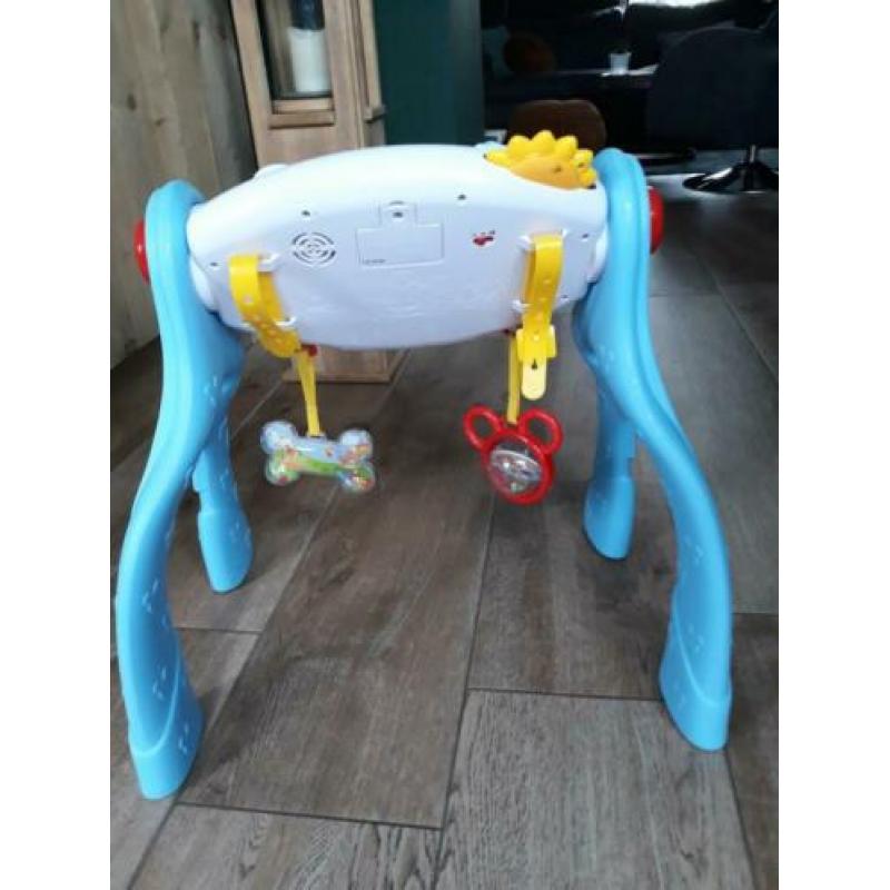 Disney babygym