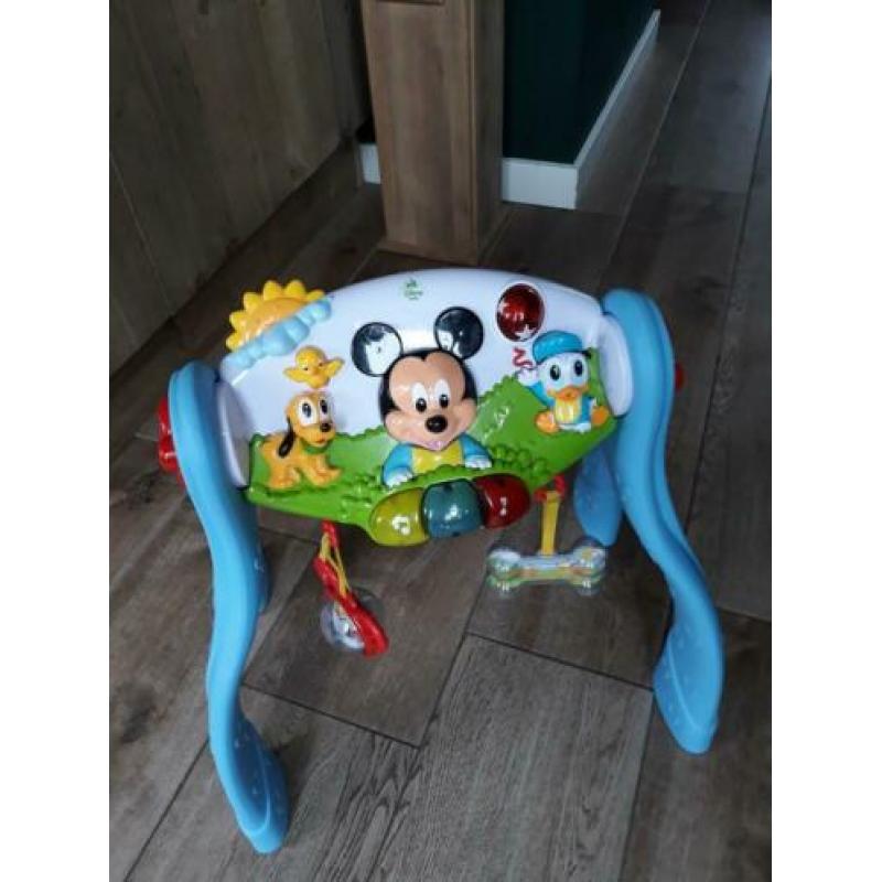 Disney babygym
