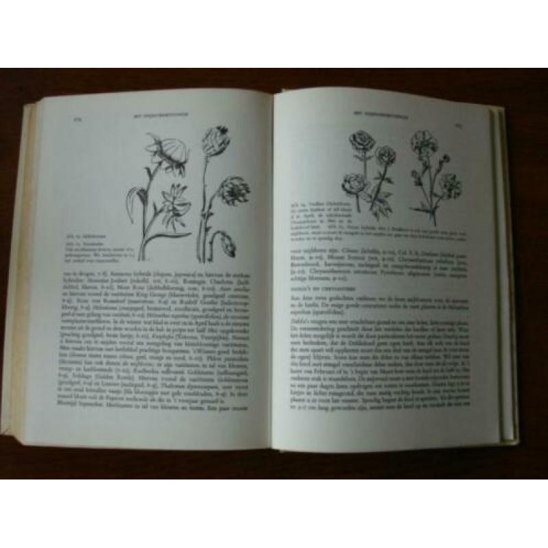 "Ik kan planten en bloemen in huis verzorgen" A.J. Herwig