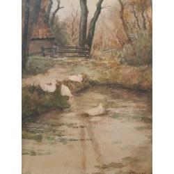 Tamson - Aquarel - Hooiberg
