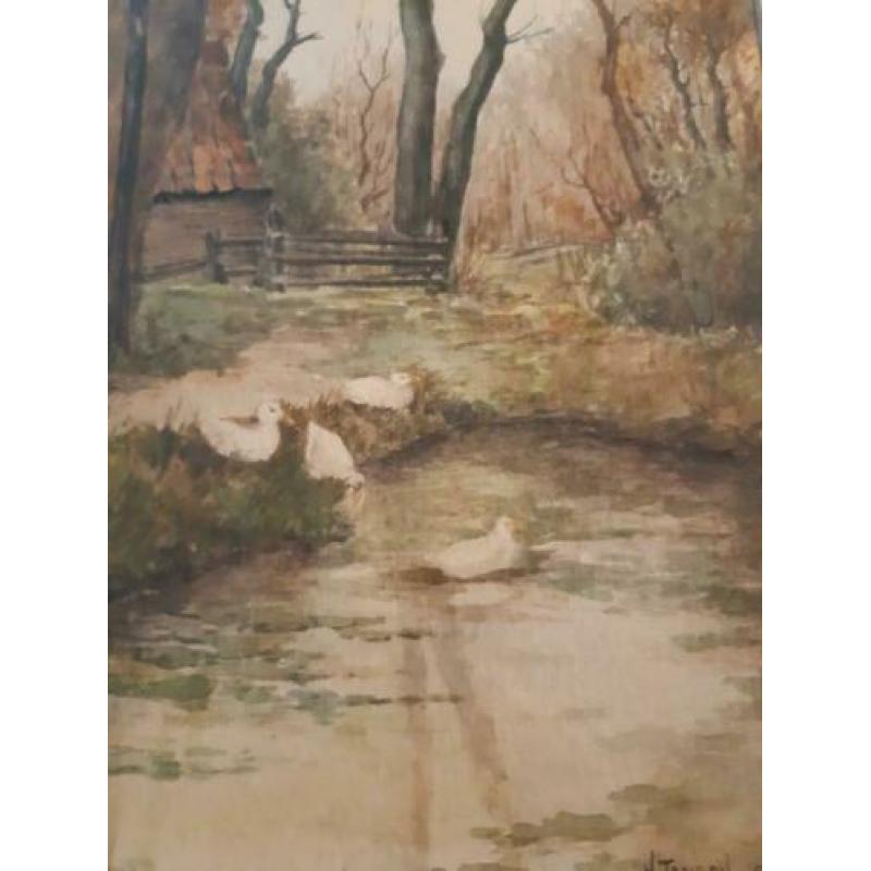 Tamson - Aquarel - Hooiberg