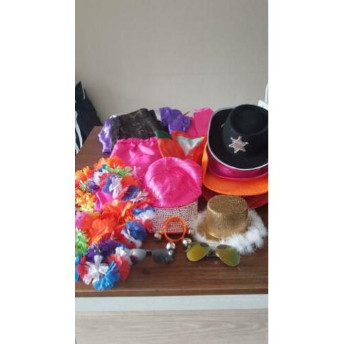 CARNAVAL Diverse kleding hoeden accessoires