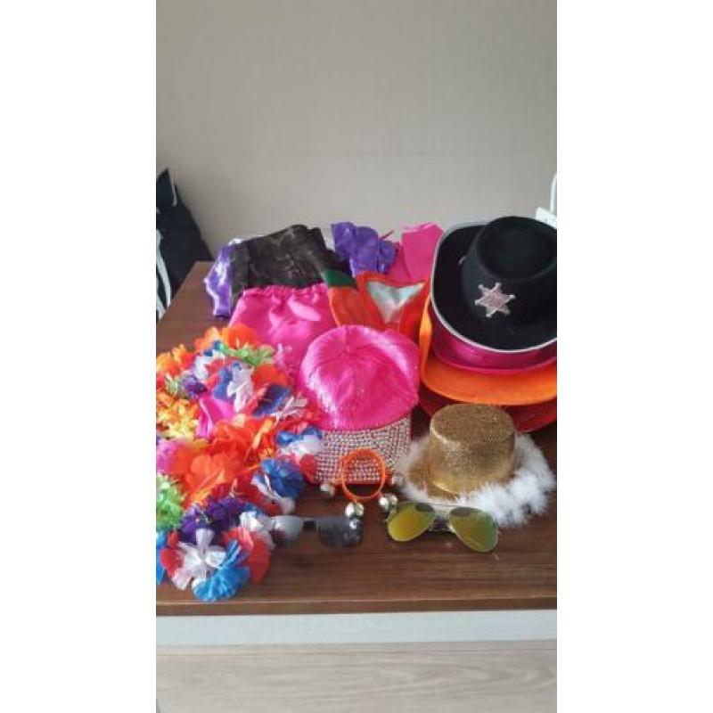 CARNAVAL Diverse kleding hoeden accessoires