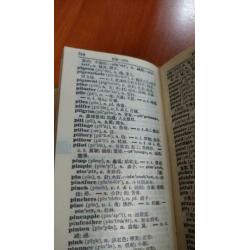 Engels Chinees - Chinese- english woordenboek