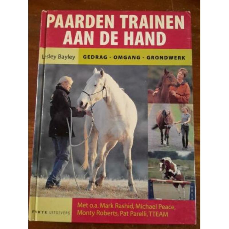 Paarden trainen aan de hand, Lesley Bayley