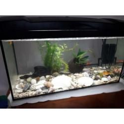 Aquarium