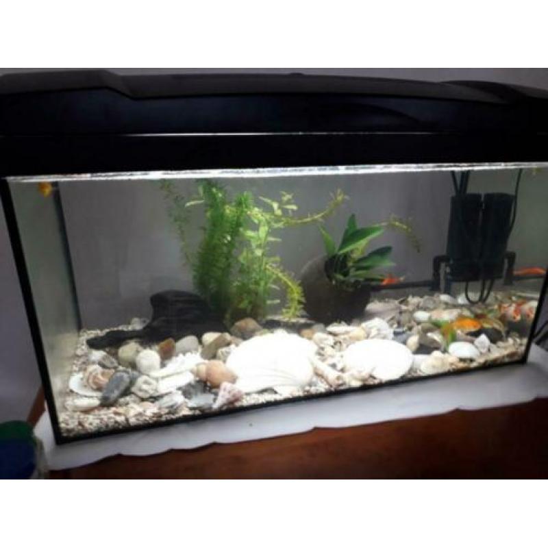 Aquarium