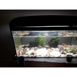 Aquarium