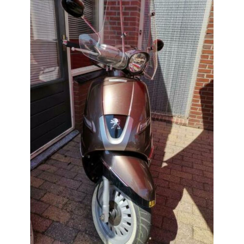 Peugeot django uniek