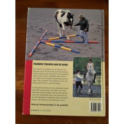 Paarden trainen aan de hand, Lesley Bayley