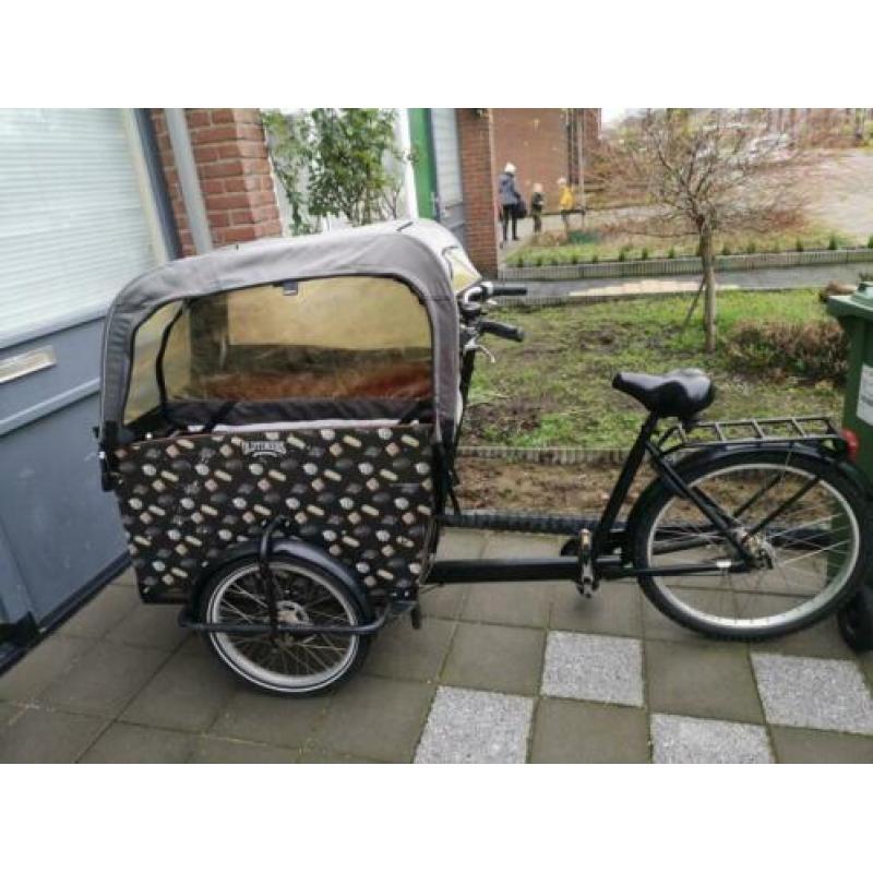 Fiets back