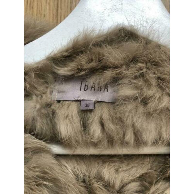 Ibana bont jas bontjas konijn 34 xs s