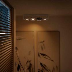 Opbouwspot Philips myLiving Particon Warmglow LED 4-spot