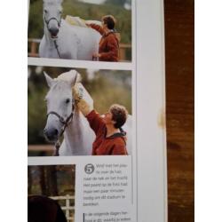 Paarden trainen aan de hand, Lesley Bayley