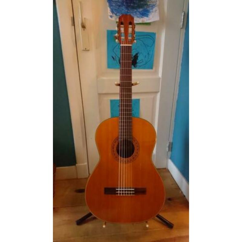 Aria concert gitaar ac - 8