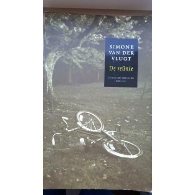 Simone van der Vlugt- Op klaarlichte dag