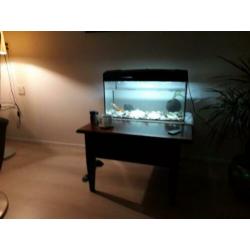 Aquarium