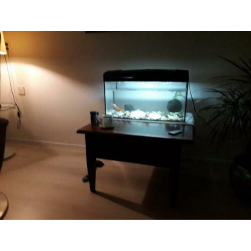 Aquarium