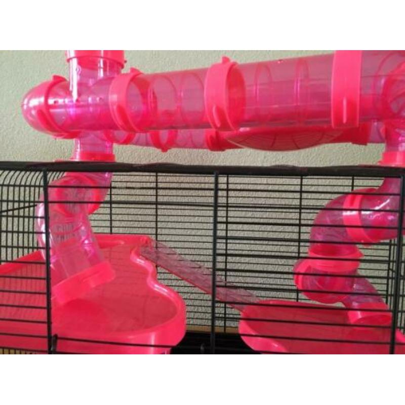 Hamsterkooi met Buizen/glijbanen