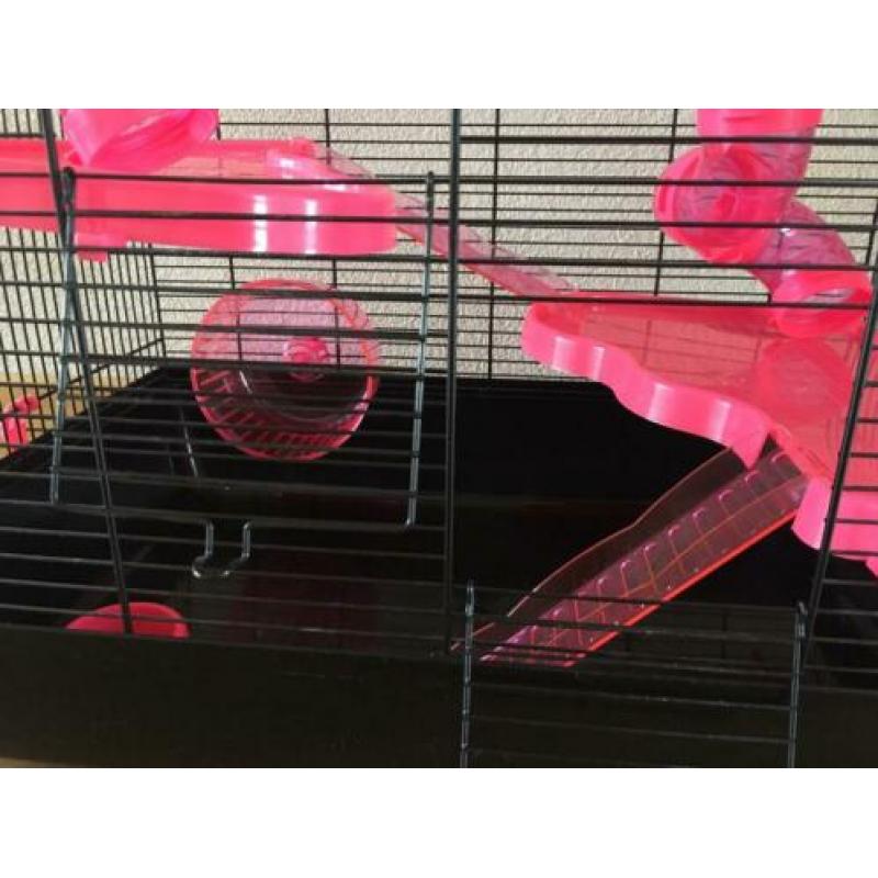 Hamsterkooi met Buizen/glijbanen