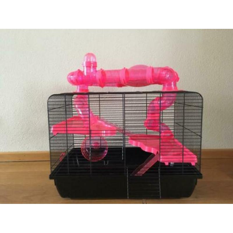 Hamsterkooi met Buizen/glijbanen