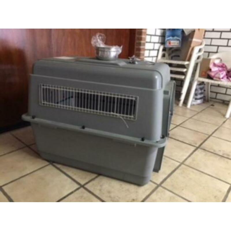 Reis bench voor middelgrote hond