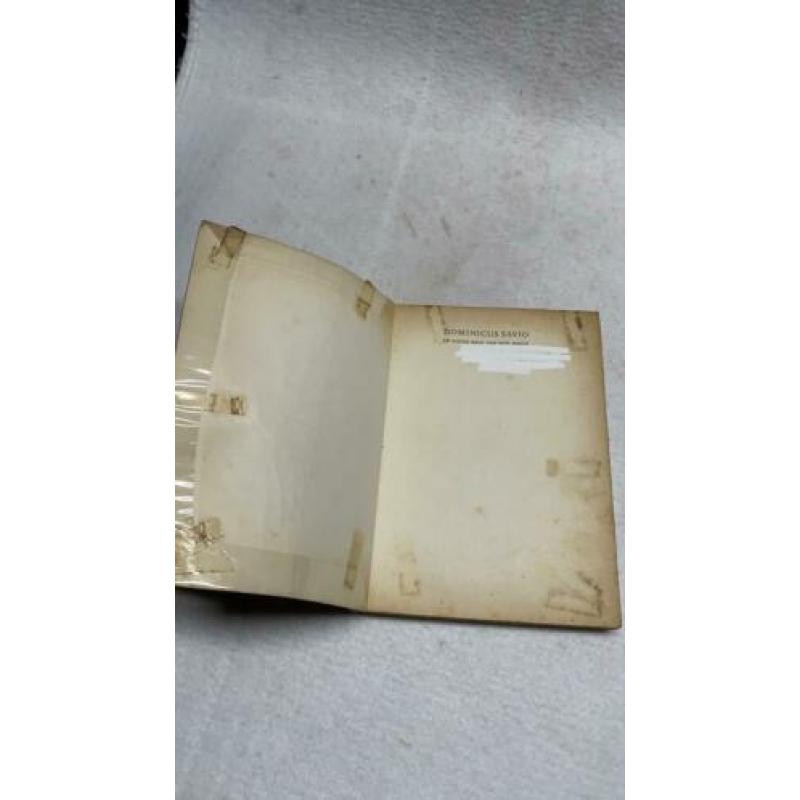 Boek Dominicus Savio de kleine reus van don bosco door Jan K
