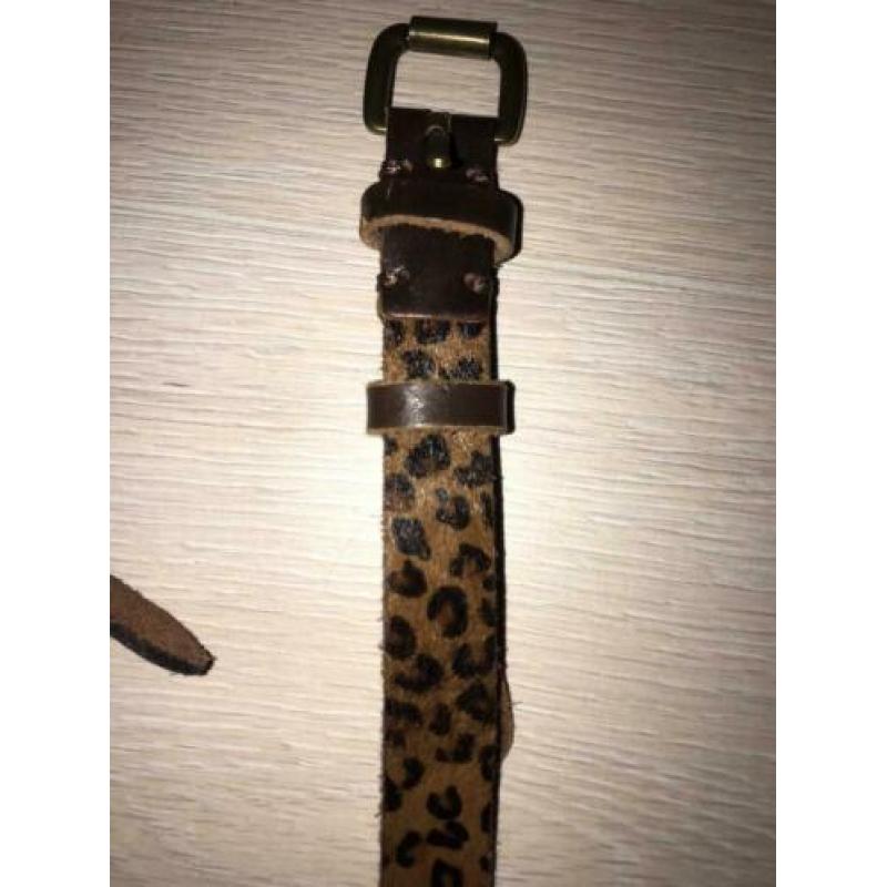 Leren riem dames luipaard