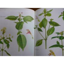 Nederlandse Oecologische FLORA, 5 delig van E.J. Weeda