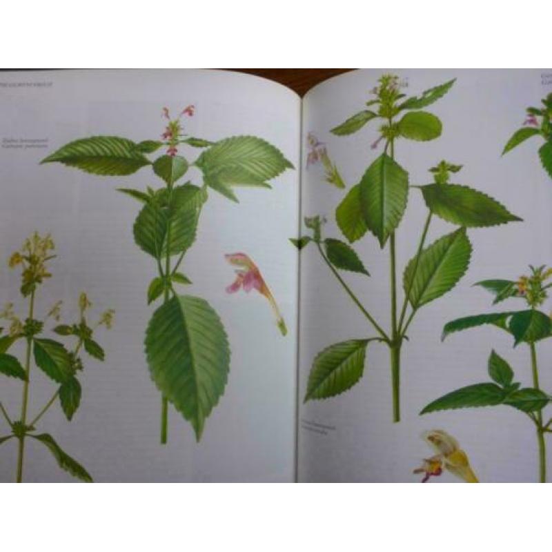 Nederlandse Oecologische FLORA, 5 delig van E.J. Weeda