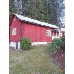 2 persoons vakantiehuisje Zweden Värmland