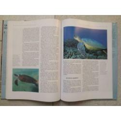 Land- en zeeschildpadden . ISBN 9789036610308