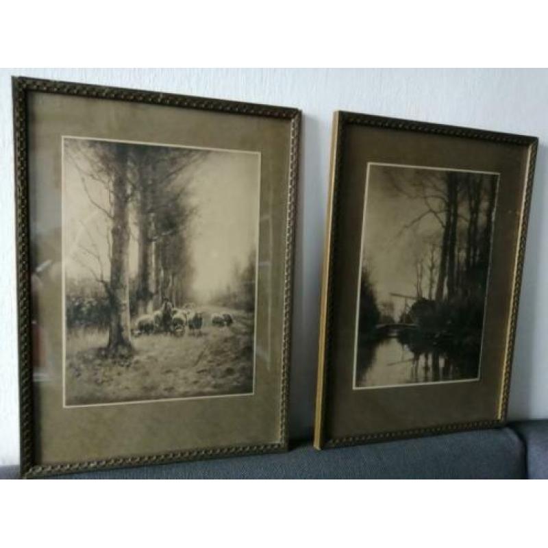fotogravures van Petrus Paulus Schiedges (II)1860-1922