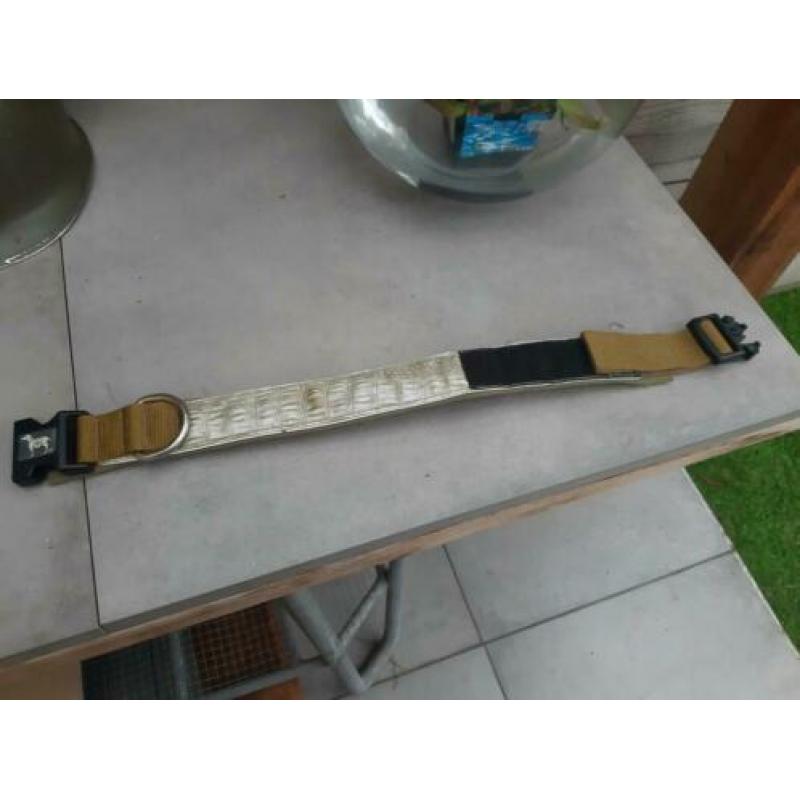 Bellomania alligator halsband