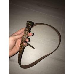 Leren riem dames luipaard
