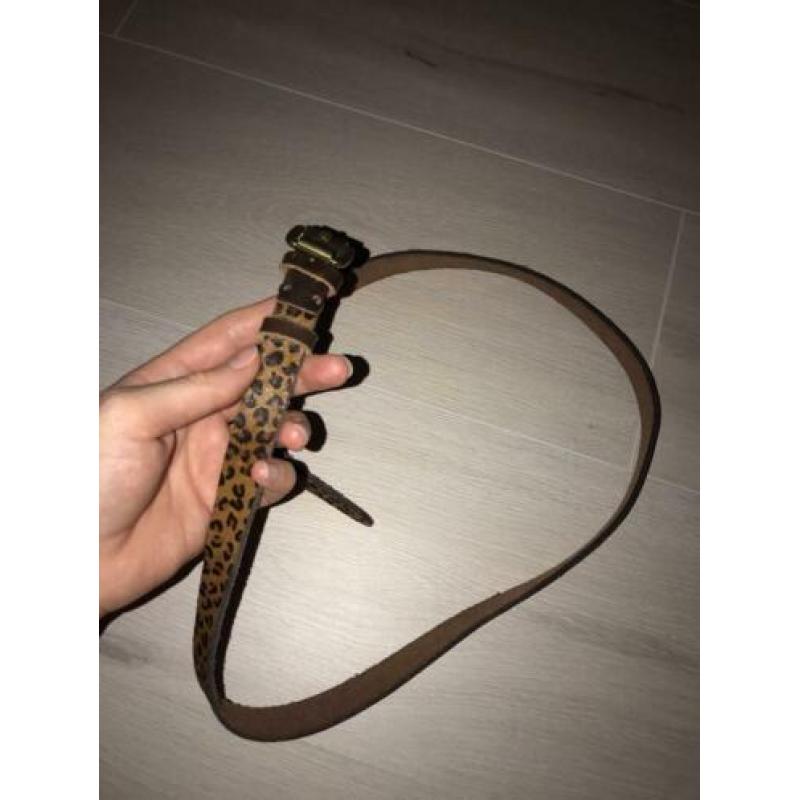 Leren riem dames luipaard