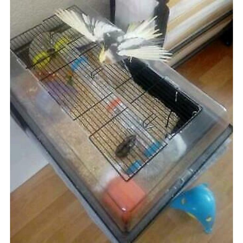 Hamsterkooi