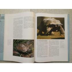 Land- en zeeschildpadden . ISBN 9789036610308
