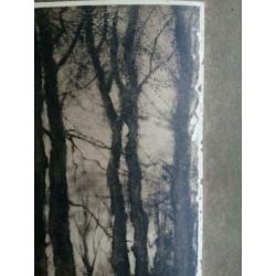 fotogravures van Petrus Paulus Schiedges (II)1860-1922