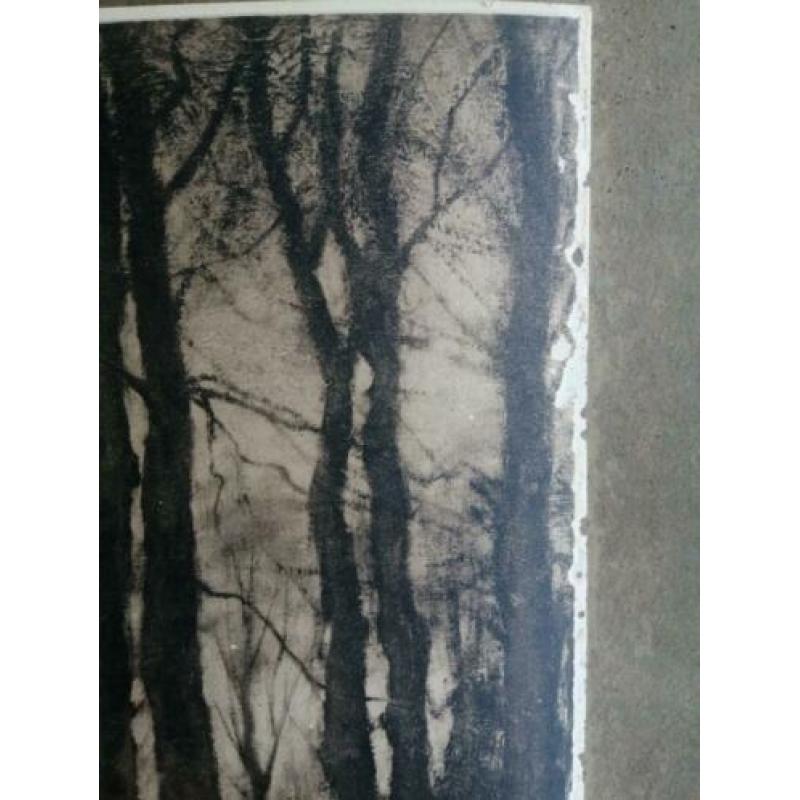 fotogravures van Petrus Paulus Schiedges (II)1860-1922