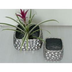 2 delige LUXE BLOEMPOTTENSET - ZILVER - voor maar €14,00