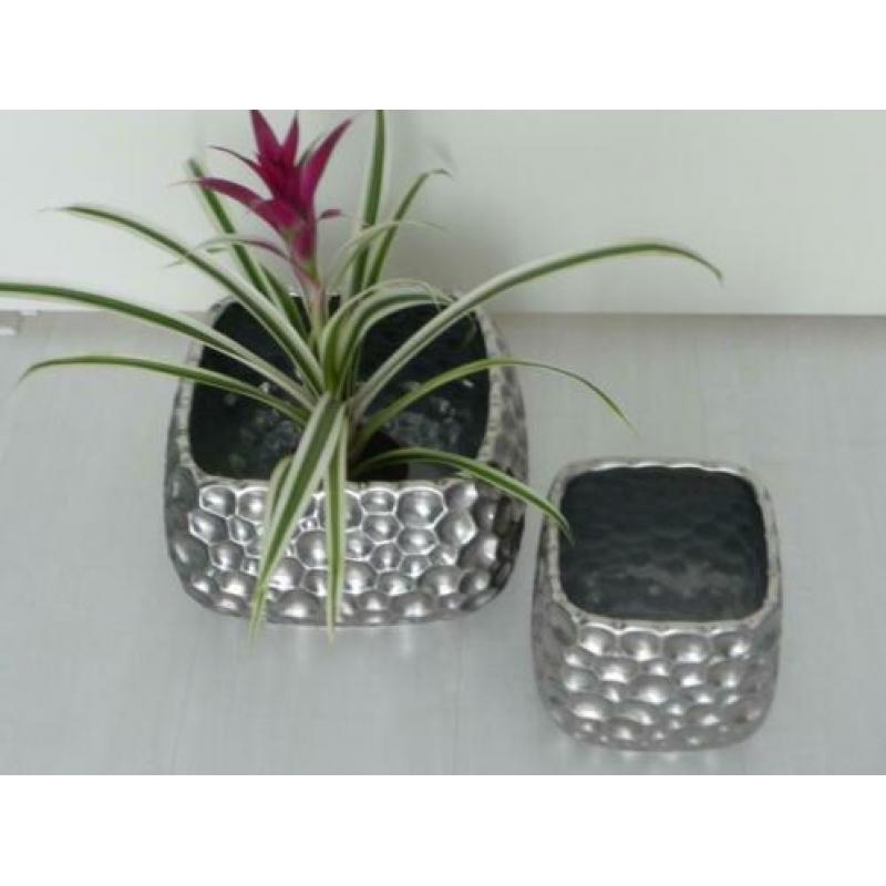 2 delige LUXE BLOEMPOTTENSET - ZILVER - voor maar €14,00