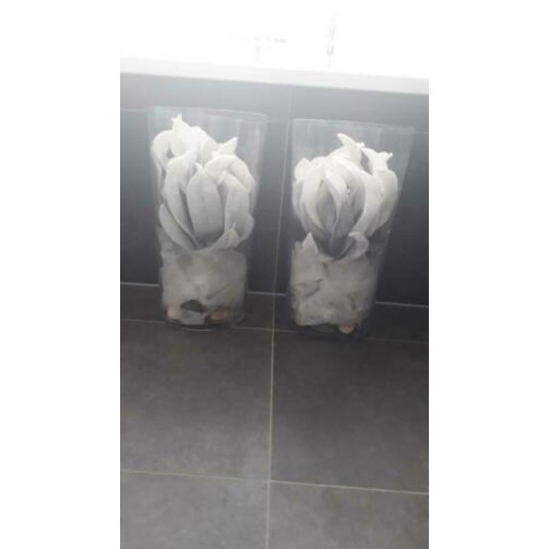 2 glazen vazen. De inhoud mag u erbij