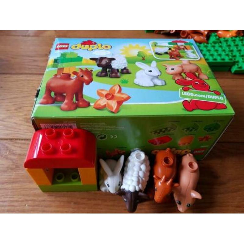 10584 Duplo grote dierenbos 2-5 jr