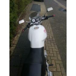 Ducati m600 1997