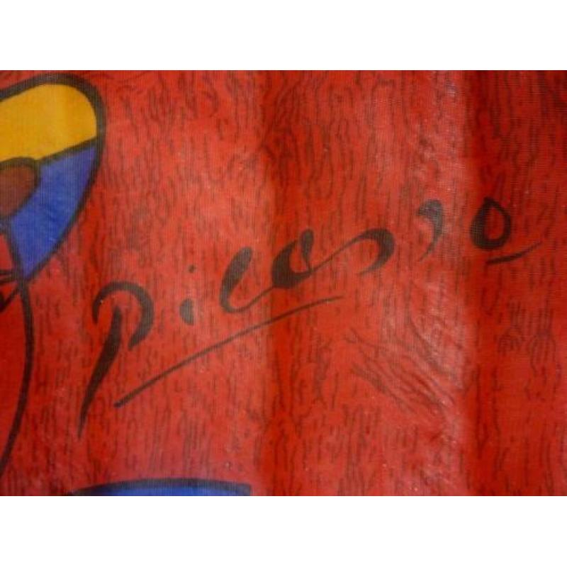 Langwerpige voile sjaal van Picasso