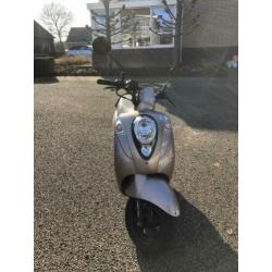 SYM Mio 50 Scooter