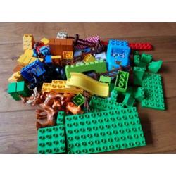 10584 Duplo grote dierenbos 2-5 jr