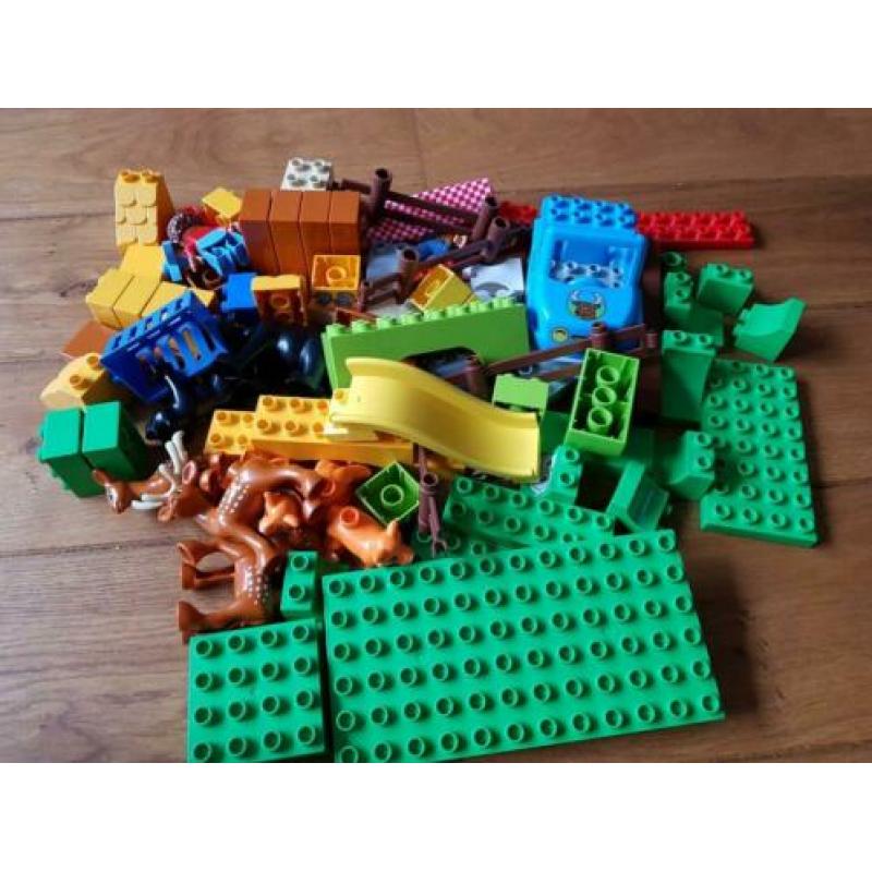 10584 Duplo grote dierenbos 2-5 jr